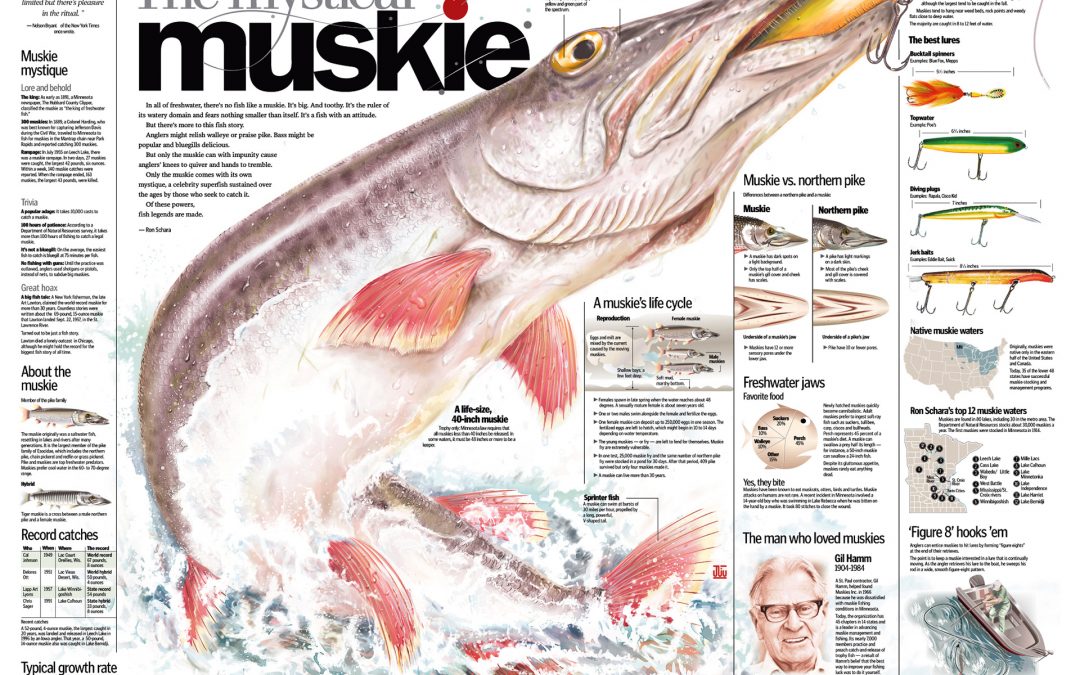 Muskie