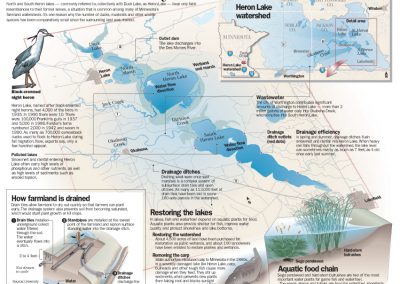 Troubled lakes