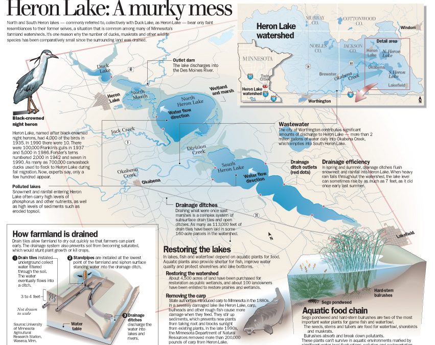 Troubled lakes